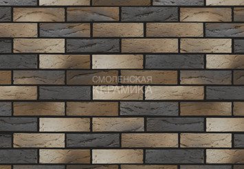 Кирпич керамический BRAER PRO 5.06, 1 НФ 1