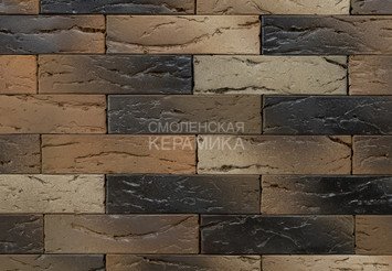 Кирпич керамический BRAER PRO X.1.06, 1 НФ 1