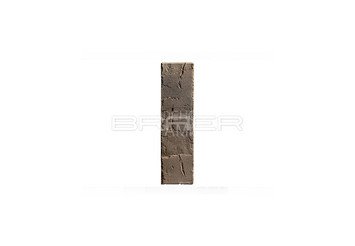 Кирпич керамический BRAER PRO 14.04.1, 1 НФ 6