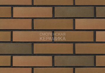 Кирпич облицовочный БРАЕР КЛАДКА гладкий, 1 НФ 1