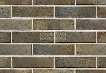 Кирпич керамический BRAER PRO 2.10, 1 НФ 2