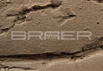 Кирпич облицовочный БРАЕР КЛАДКА кора дуба, 1 НФ 6