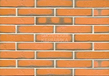 Плитка фасадна Feldhaus Klinker R719DF14* 1