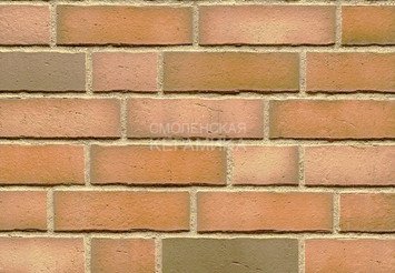 Плитка клинкерная фасадная Feldhaus Klinker R917NF14* 1