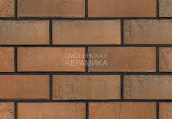 Кирпич облицовочный БРАЕР КЛАДКА Терра 1,4 НФ 1