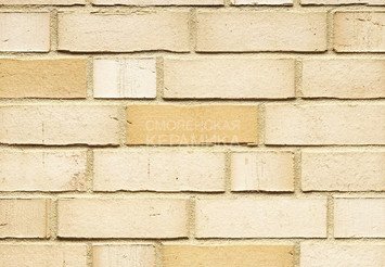 Плитка клинкерная фасадная Feldhaus Klinker R911NF14 1