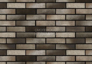 Кирпич керамический BRAER PRO 14.04.1, 1 НФ 2