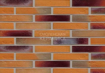 Плитка фасадна Feldhaus Klinker R715DF14* 1