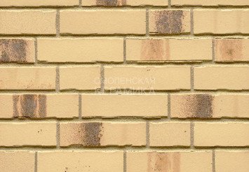 Плитка клинкерная фасадная Feldhaus Klinker R970NF14* 1