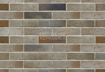 Кирпич керамический BRAER PRO X.14.04.1, 1 НФ 1