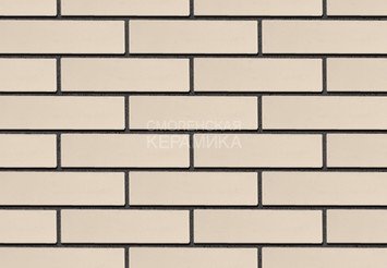 Кирпич лицевой керамический ЖКЗ Белый Гладкий 1НФ полнотелый 5