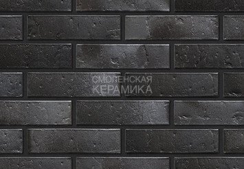Кирпич керамический BRAER PRO 34.03М, 1 НФ 4
