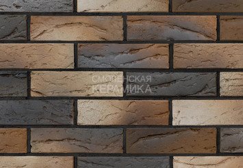 Кирпич керамический BRAER PRO 5.06, 1 НФ 2