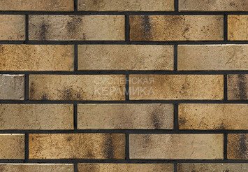 Кирпич керамический BRAER PRO 3.03 1 НФ 1