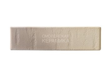Кирпич лицевой керамический RECKE 1НФ арт. 1-81-00-2-00 5